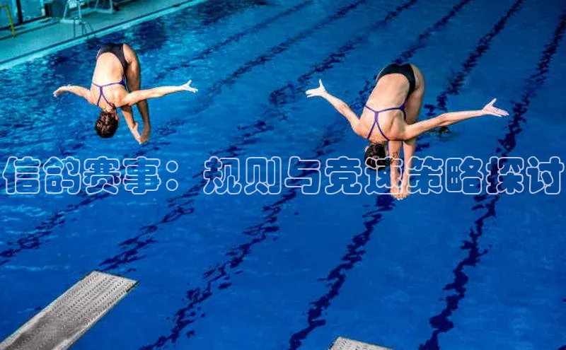 焦点在线娱乐登录网址普信公司信鸽赛事：规则与竞速策略探讨