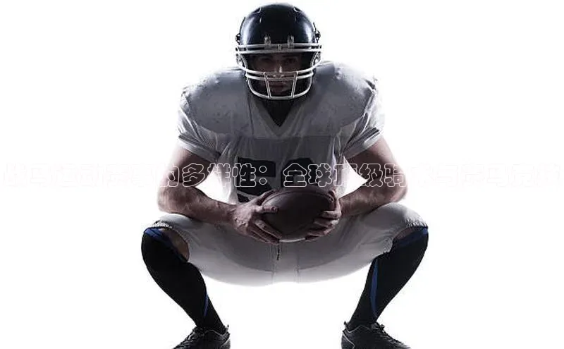 战马运动赛事的多样性：全球顶级骑术与赛马竞技