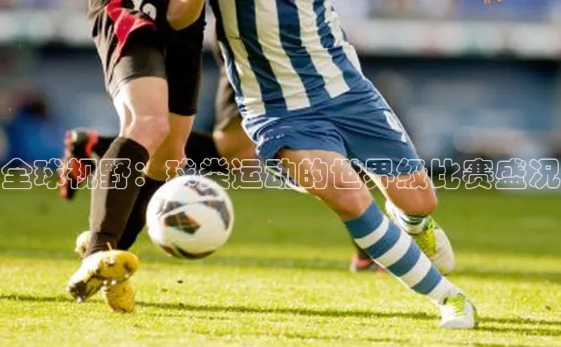 全球视野：球类运动的世界级比赛盛况