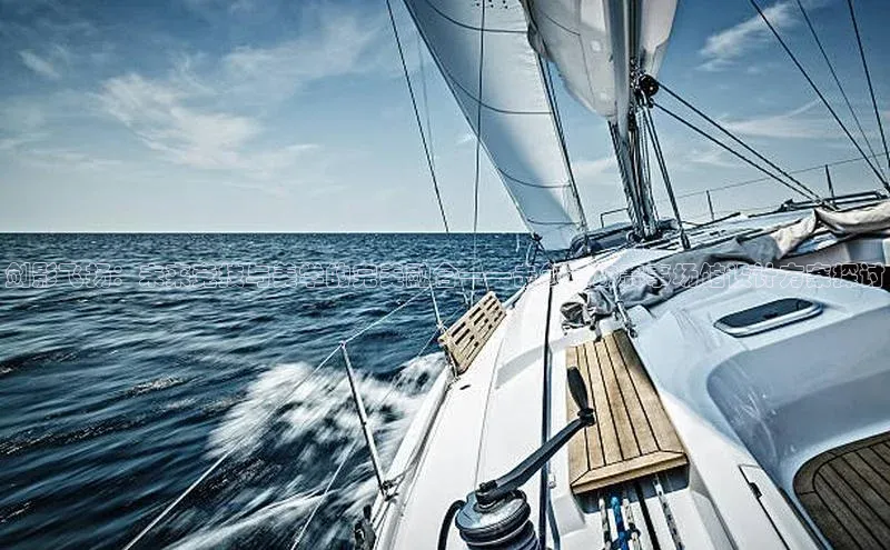 剑影飞扬：未来竞技与美学的完美融合——击剑运动赛事场馆设计方案探讨