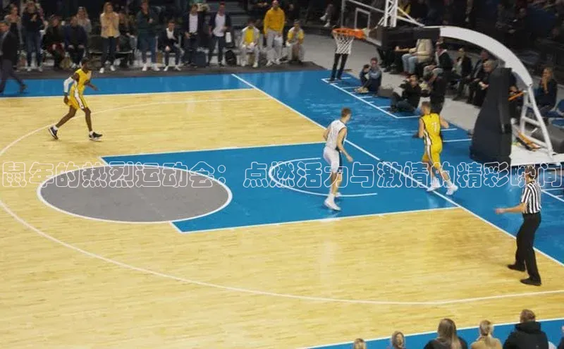 鼠年的热烈运动会：点燃活力与激情的精彩瞬间