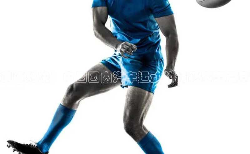 飙速对决：中国国内汽车运动的精彩赛事篇章