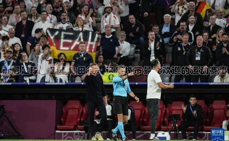 悉尼足球、篮球与田径：这座城市最受欢迎的运动赛事