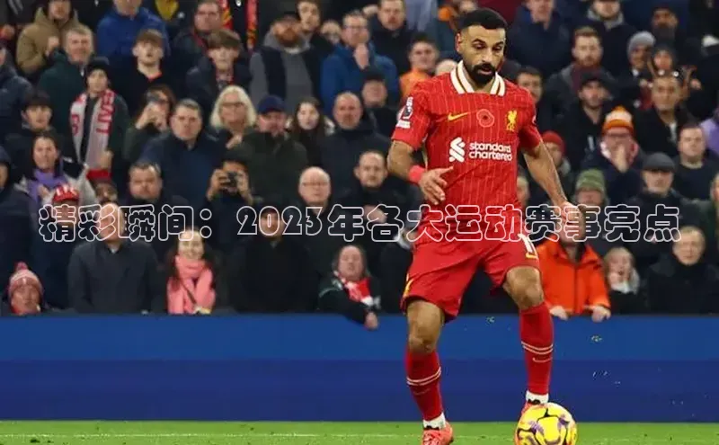 精彩瞬间：2023年各大运动赛事亮点