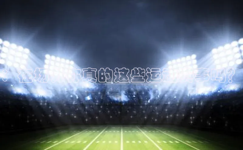 焦点娱乐代理平台